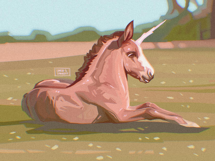 Uni-foal Uni-foal